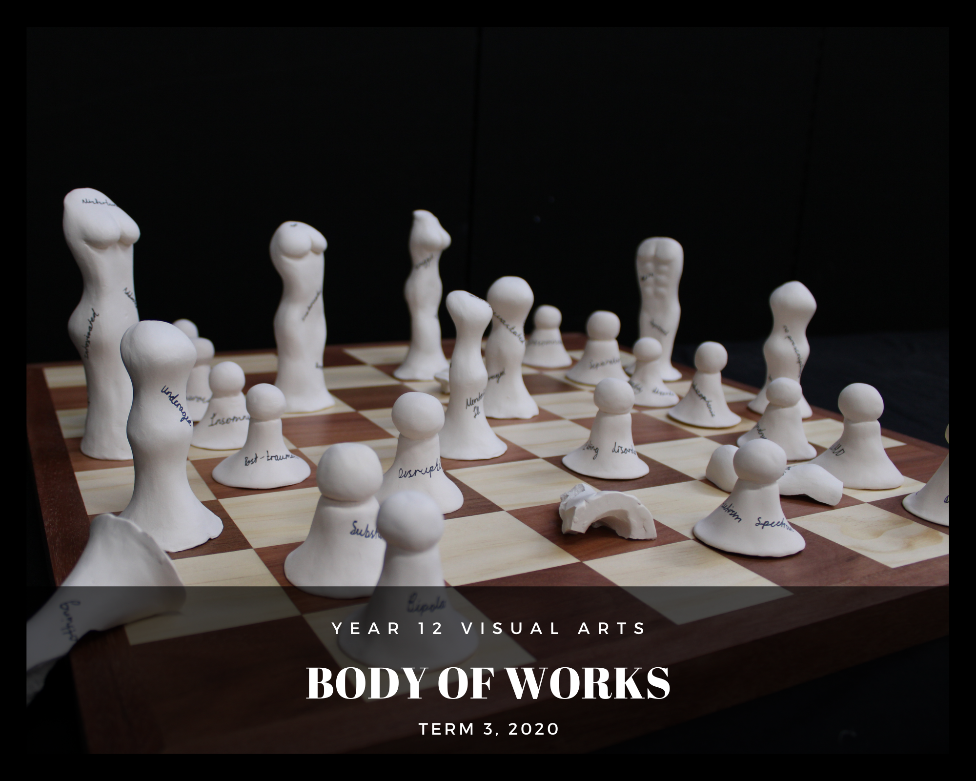 Year 12 Visual Art Body of Works