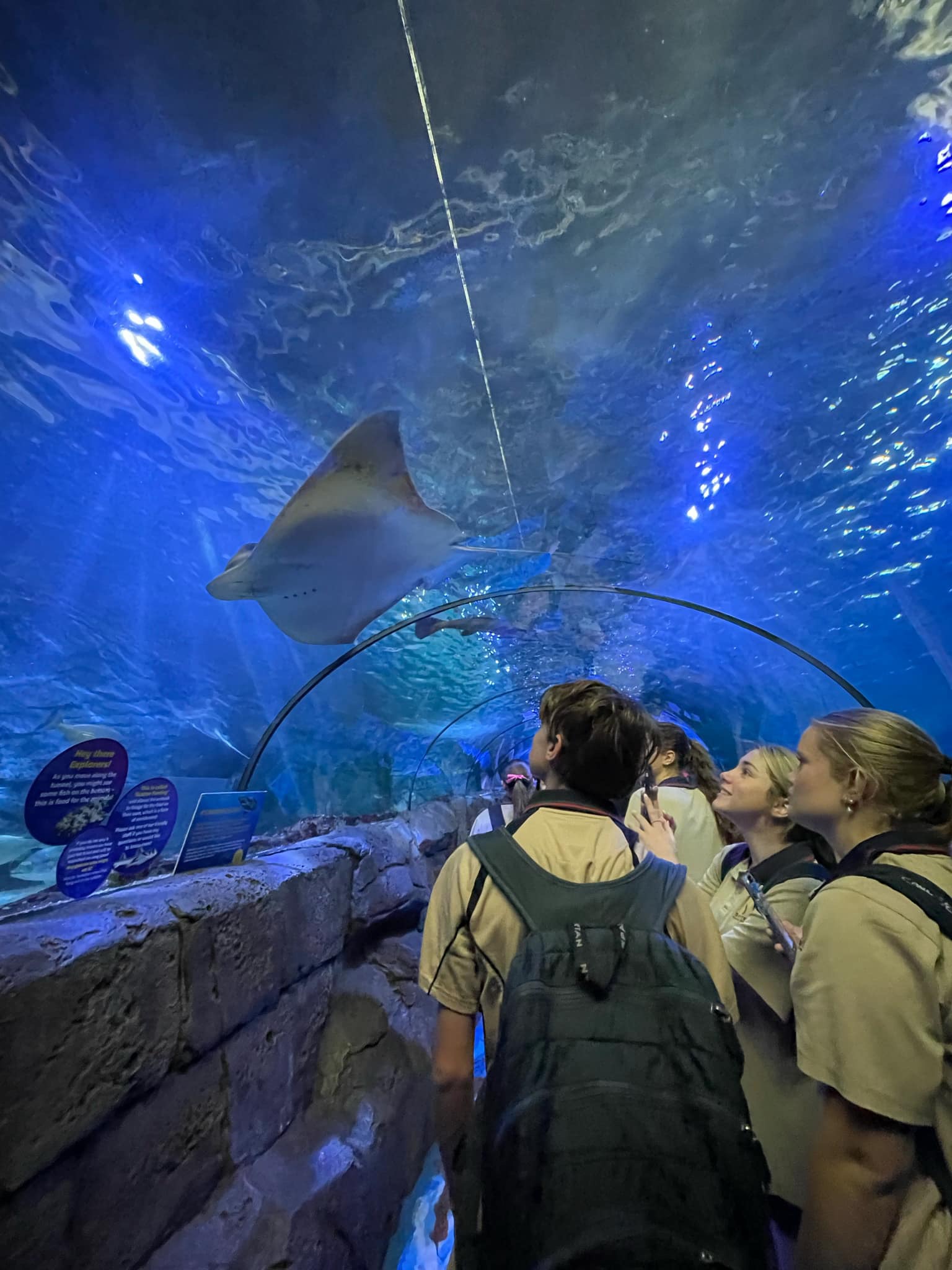 Marine Studies / Stage 5 Aquarium Excursion