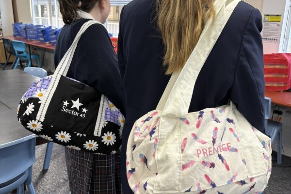 571558799_1419995033467903_5261395351053912203_n