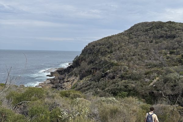 image-20250916-041018-d7840cb0