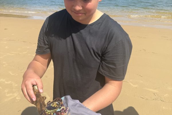 image-20250917-005640-59f5048d